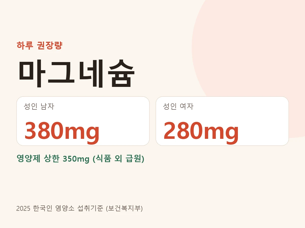 마그네슘 하루 권장량 성인 남자 380mg, 성인 여자 280mg, 영양제 상한 350mg